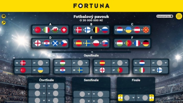 Fortuna Euro 2021 pavouk logo