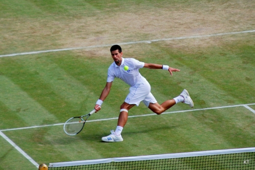 Novak Djoković Wimbledon