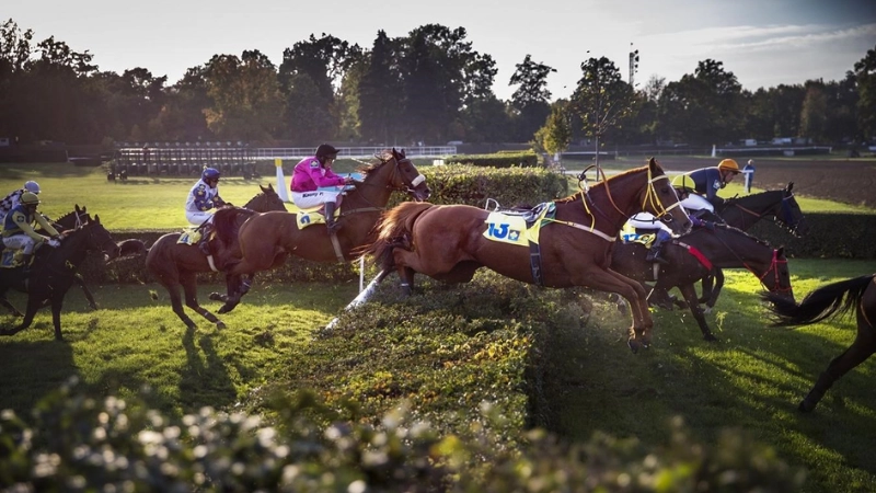 Velká Pardubická live stream