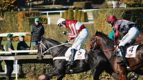 Kdo vyhraje Velkou pardubickou? Analýza favoritů, skryté tipy a nejlepší kurzy