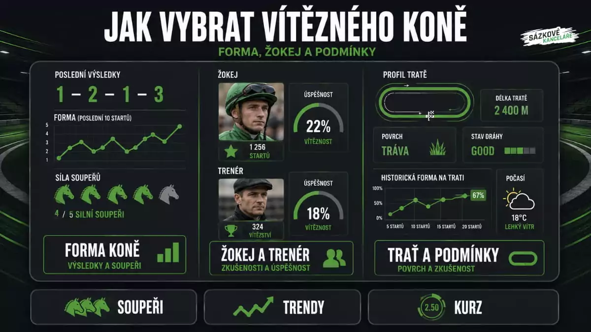 Infografika ukazující, jak vybrat vítězného koně podle formy, síly soupeřů, úspěšnosti žokeje a trenéra a podmínek na trati
