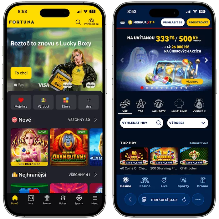 Online casino Fortuna vs MerkurXtip