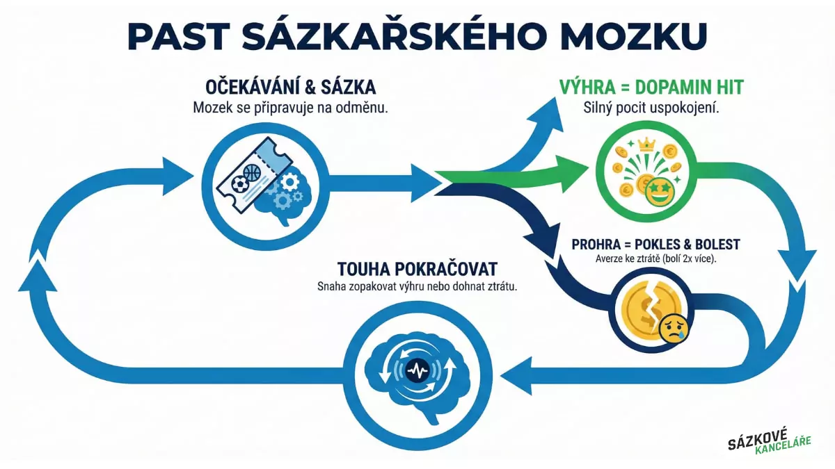 Past sázkařského mozku