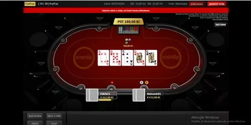 Pro koho je poker Synot určen