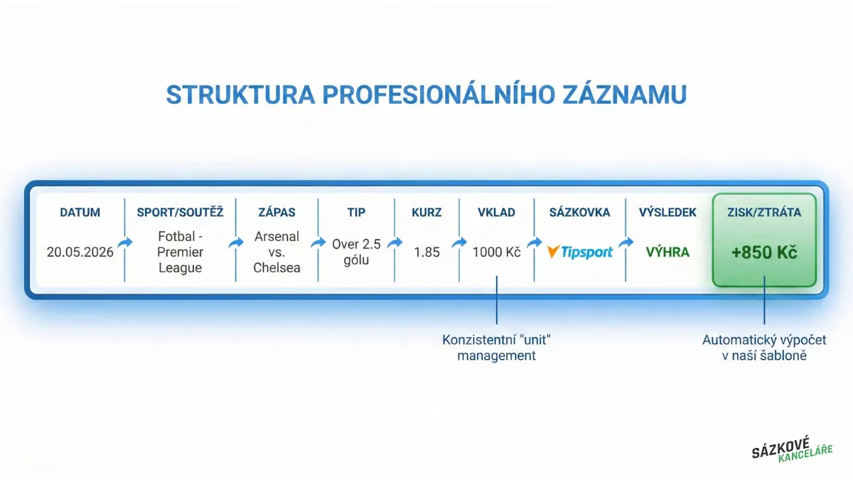 Struktura profesionálního záznamu