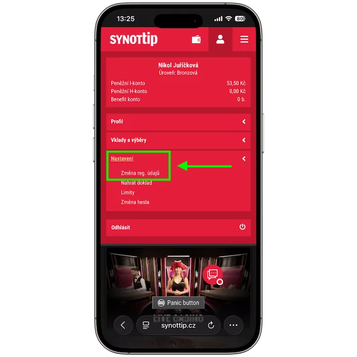Synottip nastavení profilu